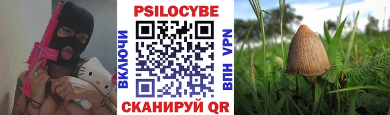 Псилоцибиновые грибы Psilocybe  закладки  Липецк 